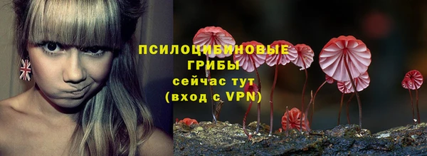 прущая мука Вязьма